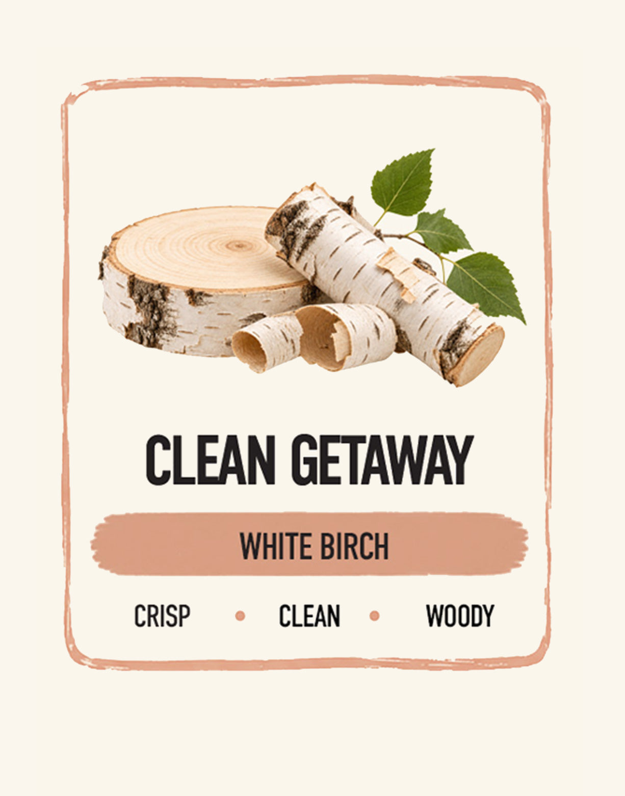 Clean Getaway